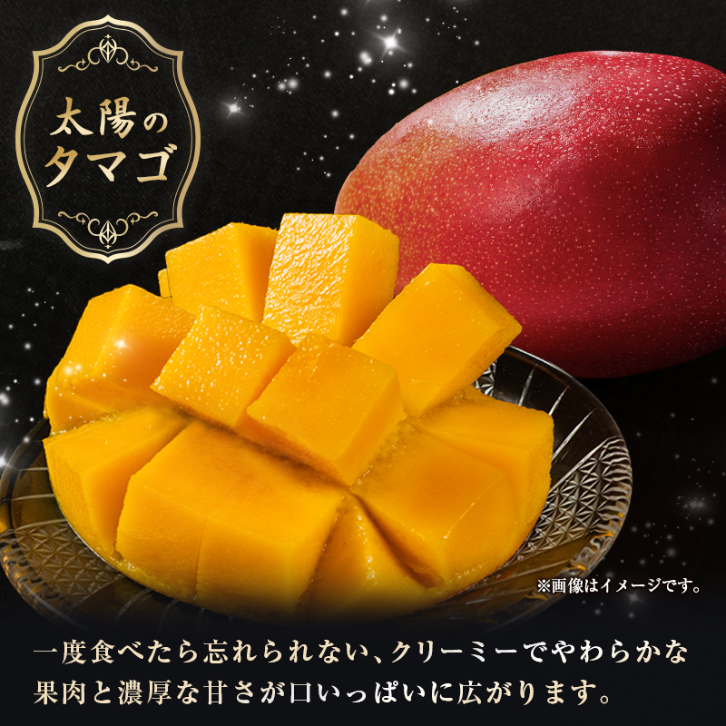 【2026年発送 先行予約】完熟マンゴー「太陽のタマゴ」 2L×2玉（フルーツ マンゴー 完熟マンゴー アップルマンゴー 果物 くだもの 先行受付 2026 令和8年 宮崎） ２L×２玉