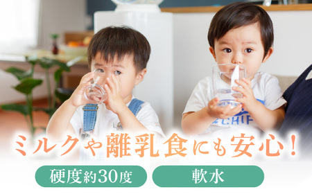 【12ヶ月定期便】赤ちゃんも安心して飲める 清水湧水 軟水 500ml 計24本 非加熱殺菌 ミネラルウォーター【株式会社清水】天然水の風味を損なわないよう非加熱殺菌 天然水 水 軟水 ペットボトル 