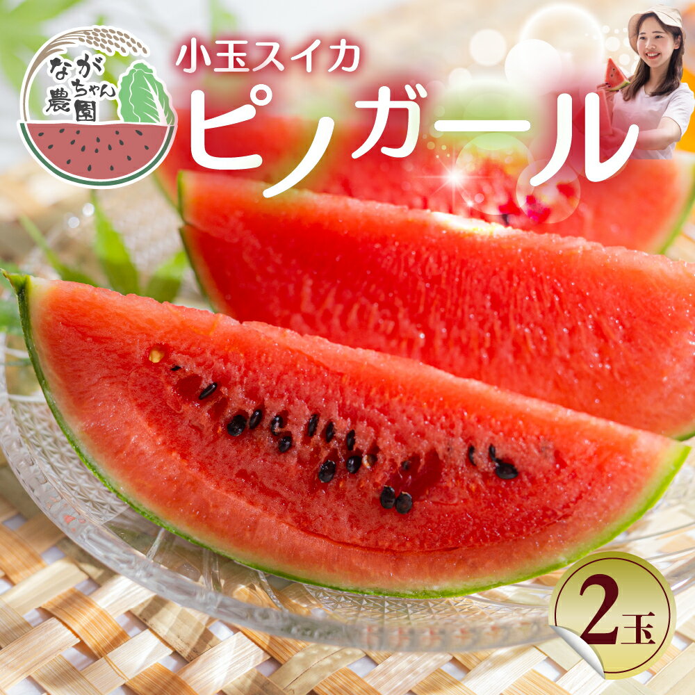 【ふるさと納税】≪先行予約 2026年発送≫ ながちゃん農園の 小玉スイカ 2玉｜ピノガール 小玉すいか 小玉 すいか 西瓜 スイカ くだもの フルーツ 果物 旬 夏 スイーツ 愛知県 豊橋市