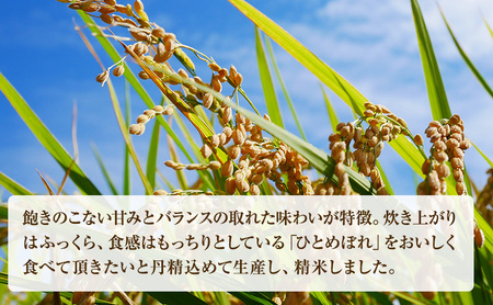 精米 ひとめぼれ 5kg 米 