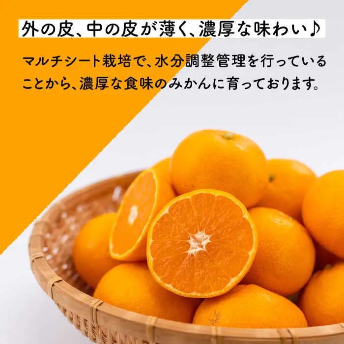 【先行予約】原口早生 みかん 約5kg [OCU003] みかん