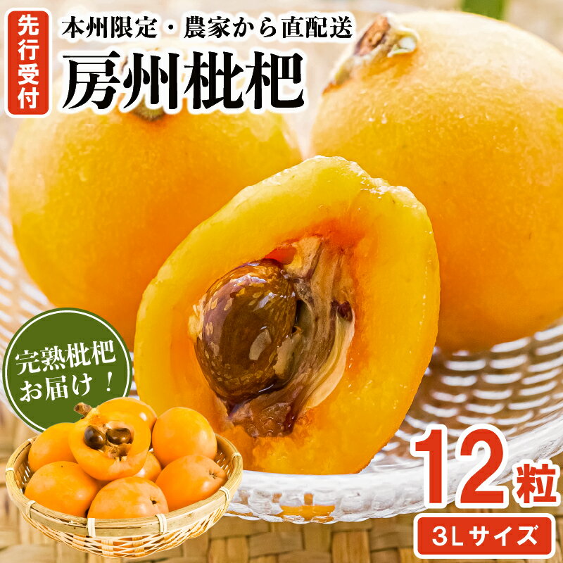 【ふるさと納税】【先行受付 2025年5月下旬～6月中旬発送予定】『房州枇杷（ビワ） 3Lサイズ12粒入』完熟枇杷を農家から直送！ 千葉県 南房総市 完熟 びわ フルーツ 旬 季節 果物 お取り寄せ グルメ 送料無料