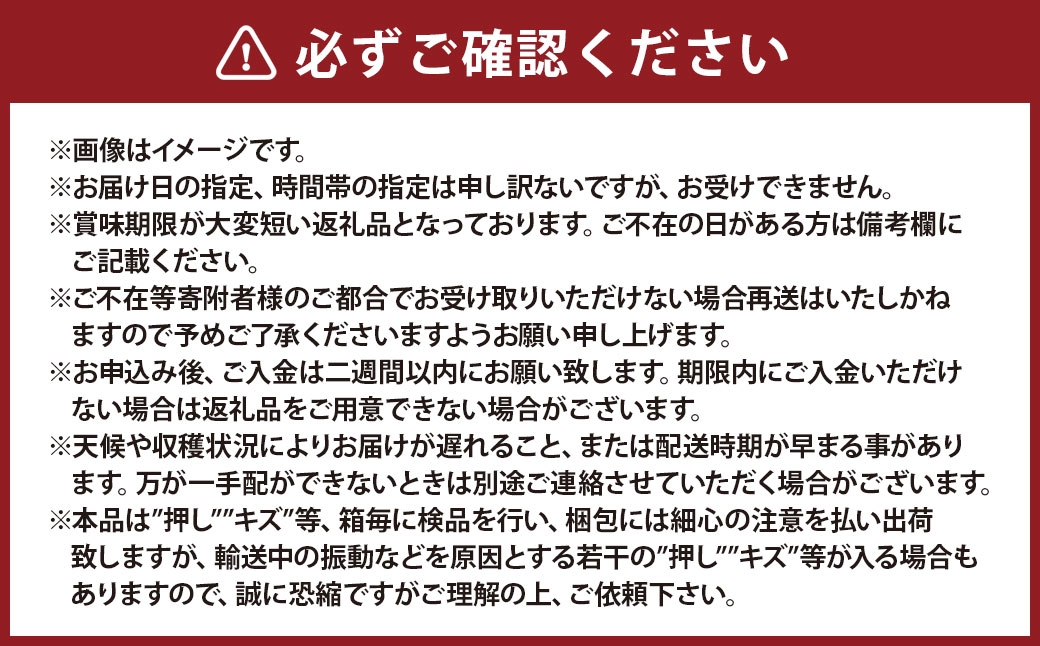 ニューピオーネ2房化粧箱入り（合計約1.1kg）