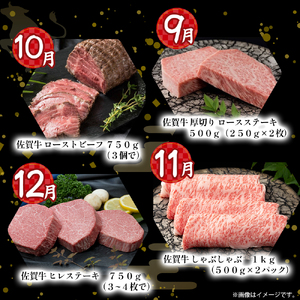 Z2 佐賀牛 毎月お届け便 50万コース 定期便 12回 佐賀牛 ブランド牛 国産牛 牛肉 肉 おすすめ ご褒美 定期便 お取り寄せ 佐賀県 太良町