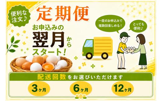 【全3回定期便】白玉アスタキサンチン卵 30個｜たまご 玉子 菜の花エッグ 自社農場 定期便 すぐ発送 常温 抗酸化 健康 卵かけご飯 ギフト 君津養鶏場直送｜千葉県 君津市