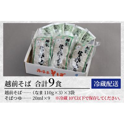 ふるさと納税 福井市 ヤマサ製麺 越前そば 9食 (3食袋×3) |  | 03