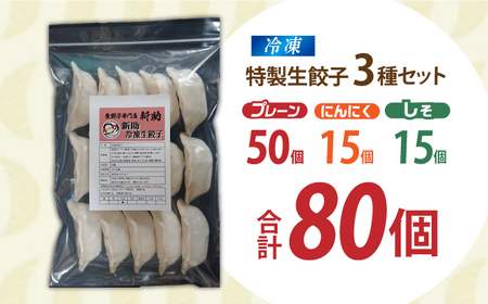 餃子 生餃子 ファミリーセット(80個入り) [ANHL005] 餃子