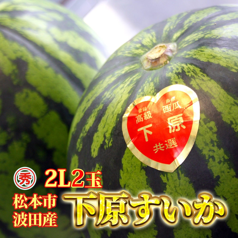 
                  スイカ 下原すいか 信州 松本波田産 2L ( 7kg ～ 8kg ) × 2玉 | フルーツ 夏 スイカ 西瓜 大玉スイカ シャキ感 甘い ふるーつ 果物 野菜 長野県 松本市 信州産 人気
                