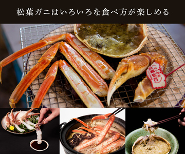 Y285 【蟹セレブ】タグ付き活〆ボイル・松葉がに（大・800ｇ前後）