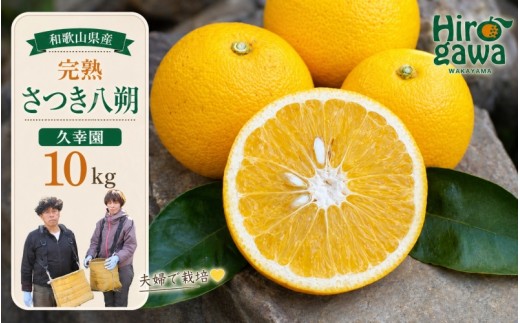 
                  完熟 さつき 八朔 10kg / はっさく 甘い 和歌山 柑橘 ※2027年4月上旬～5月上旬頃に順次発送予定【hsk022-r-10】
                