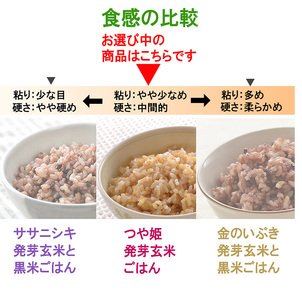 ＜3ヶ月定期便＞発芽玄米パックご飯 計48パック(16パック×3回) つや姫発芽玄米 発芽玄米 レンジ 有機栽培 パックご飯 パックごはん ご飯パック ごはんパック パックライス ご飯 米 レンチン 