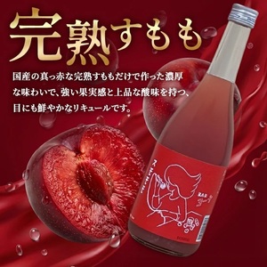 SB0834　酒田の酒屋厳選　楯の川 BARヨー子 スモモモ　720ml×2本