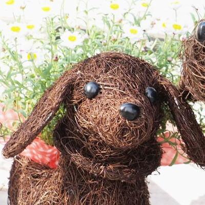 ふるさと納税 朝倉市 チビわんこのフラワーバスケット(2匹) |  | 02