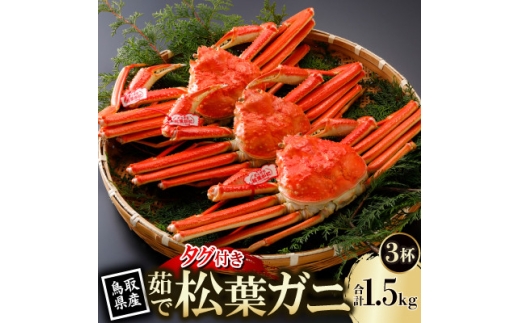 ＜先行予約＞鳥取県産 タグ付き 茹 松葉がに 500g×3杯(中村商店)2026年11月発送【1779406】