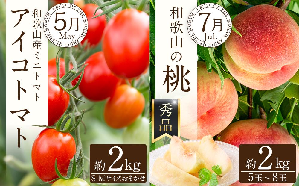 和歌山の旬の果実を 奇数月にお届け全6回定期便【TM49】