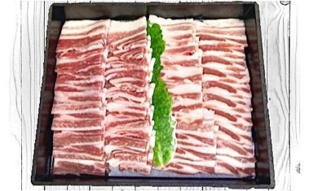 ＜肉屋プレゼンツ＞希少な甘とろ豚の焼肉食べ比べ2種セット （ 焼肉 豚バラ 焼肉 豚モモ 焼肉 ブランド豚 焼肉 甘とろ豚バラ 焼肉 甘とろ豚モモ 焼肉 焼肉セット 食べ比べ焼肉 焼肉三昧 豚肉 焼肉