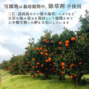 S097-005A_あまくさどろっぷすのじゅーす