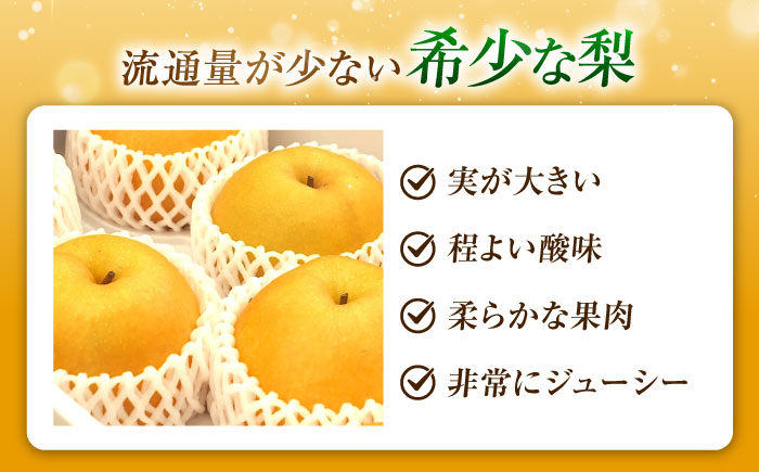 尾形農園の豊華梨(ゆたかなし) 5～6玉入 〈2026年8月～発送〉 ／ 梨 なし フルーツ 果物 くだもの 食品 人気 おすすめ 季節のフルーツ 豊華梨 【株式会社内子フレッシュパークからり】 [B