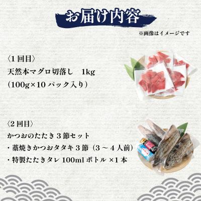 ふるさと納税 室戸市 2回定期便　本マグロとかつおの定期便 |  | 03