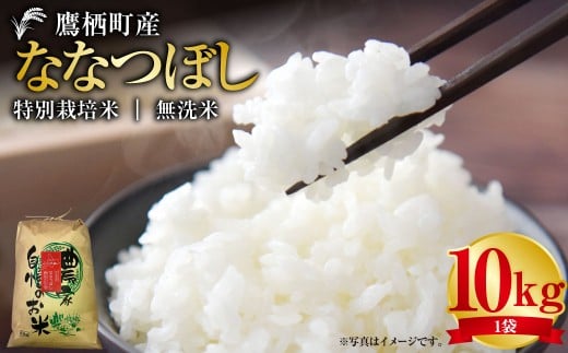 【令和7年産】 ななつぼし （ 無洗米 ） 10kg 北海道 鷹栖町 たかすタロファーム 米 コメ こめ ご飯 お米
