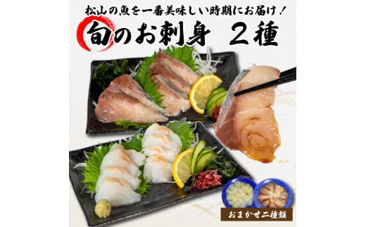 <夏のお届け> 旬のお刺身 2種類 (2~3人前×2種類) 魚 切身 鮮魚 刺身セット 刺身2種盛り 刺身 お刺身 お刺し身 魚介 海の幸 小分け 個包装 冷凍 鯛 カワハギ スズキ イカ サワラ タコ ハマチ ヒラメ 愛媛県 松山市