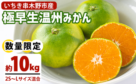＜先行予約・ 数量限定＞ 極早生 温州みかん 10kg 箱満杯バラ詰め！2S～Lサイズ 【B-395H】