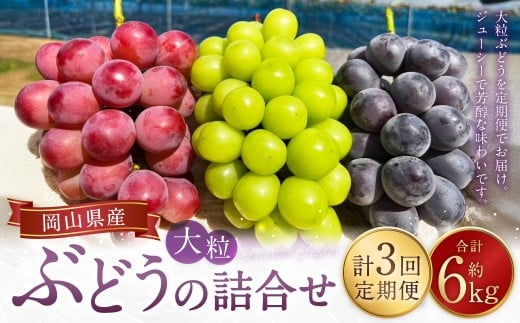 【 3回定期便 】 大粒ぶどうの詰合せ 約2kg×3回 計約6kg シャインマスカット マスカット ブドウ ぶどう 葡萄 果物 くだもの ピオーネ クイーンニーナ 定期便 詰合せ 大粒 【 2026年10月上旬～12月上旬迄発送予定 】