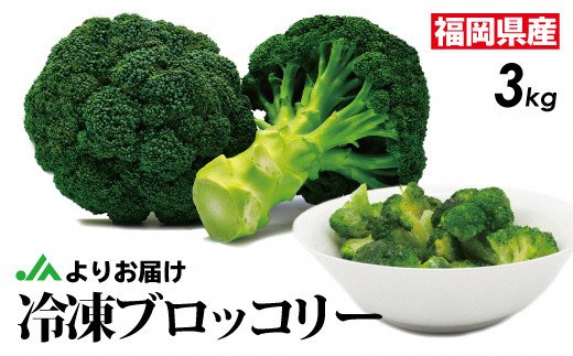 
            【2026年3月より発送】福岡県産 冷凍ブロッコリー3kg（1kg×3袋）[F2258]
          