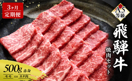 【定期便3ヶ月】牛肉 飛騨牛 焼き肉 セット 赤身 モモ 又は カタ 500g 黒毛和牛 Ａ5 美味しい お肉 牛 肉 和牛 焼肉 BBQ バーベキュー 【岐阜県瑞穂市】