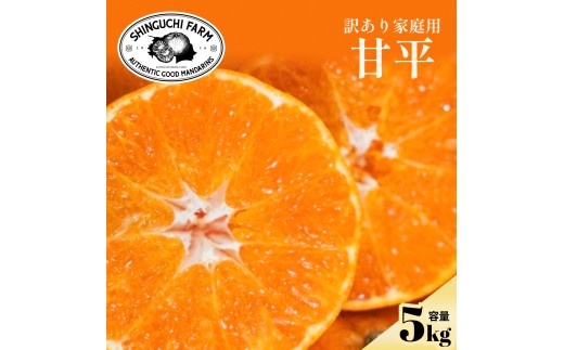 【先行受付】2027年発送!＜訳あり＞甘平 5kg＜E70-166＞ みかん ミカン 柑橘 柑橘類 フルーツ 果物 くだもの 人気 美味しい 愛媛県 八幡浜 ふるさと【1710495】 YWTK165