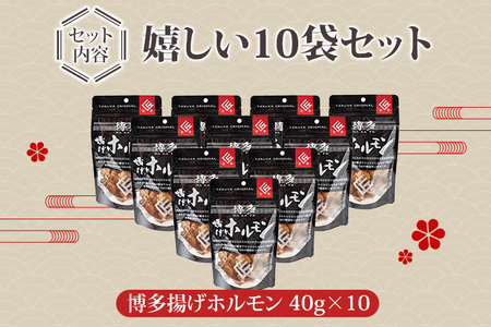 博多揚げホルモン(10袋セット) ホルモン 国産豚 唐揚げ おつまみ 送料無料