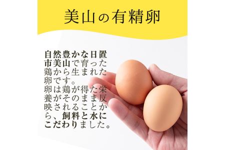 No.781 ＜定期便・全6回(連続)＞鹿児島県産有精卵(10個×4P×6ヶ月連続)放し飼い鶏のたまご！【美山たまご王国】