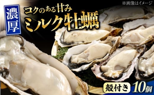 【2月26日（木）発送】江田島ミルク牡蠣 殻付き 10個 加熱用 かき 広島県産 カキ 貝付き牡蠣 海鮮 贈呈用 BBQ 濃厚 新鮮 蒸し牡蠣 焼き牡蠣 グリル焼き 丸杉水産/江田島市 [XCY001] 牡蠣 冷凍 むき身 殻付き 殻付 殻 かき カキ 生牡蠣 広島牡蠣 オイスター カキフライ 魚介類 魚介 貝類 海鮮 広島県産 国産 産地直送 贈答 ギフト 特産品