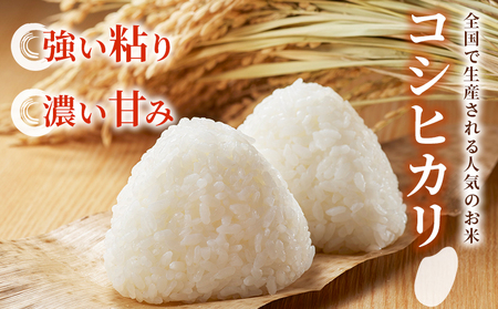 新米＜令和7年産 コシヒカリ 約5kg 西予市宇和町産＞ 5キロ 白米 精米 こしひかり 米 お米 コメ こめ 宇和米 新米 うわまい ご飯 ごはん ライス 送料無料 産地直送 天川農園 愛媛県 西予