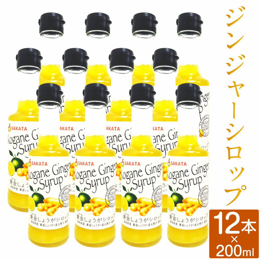 【ふるさと納税】ジンジャーシロップ 200ml×12本 香美市 高知県 送料無料