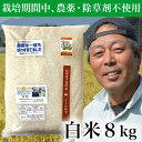 【ふるさと納税】【令和6年産】コシヒカリ　農薬不使用(栽培期間中) 福岡県芦屋町産 白米8kg【1386244】