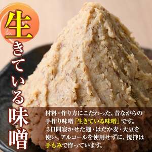【A73001】＜定期便・全3回(1ヶ月おきにお届け)＞手作りいろは味噌(計6kg・2kg×3回) 鹿児島 国産 味噌 みそ 田舎みそ 田舎味噌 手作り味噌 調味料 はだか麦 定期 隔月【いろは味噌】