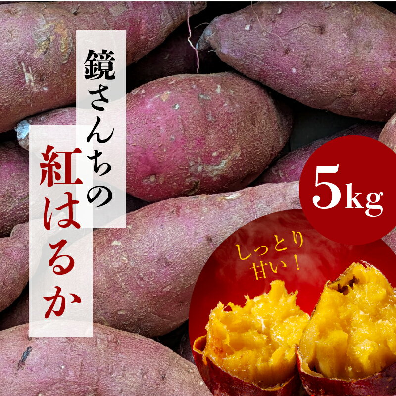 【ふるさと納税】紅はるか 5kg さつまいも しっとり 高糖度 甘い 焼き芋 おすすめ 芋天 天ぷら 大学芋 スイートポテト おやつ スイーツ 和スイーツ デザート 料理 アレンジ カライモ 芋 九州 国産 お取り寄せ 熊本県 天草市 送料無料