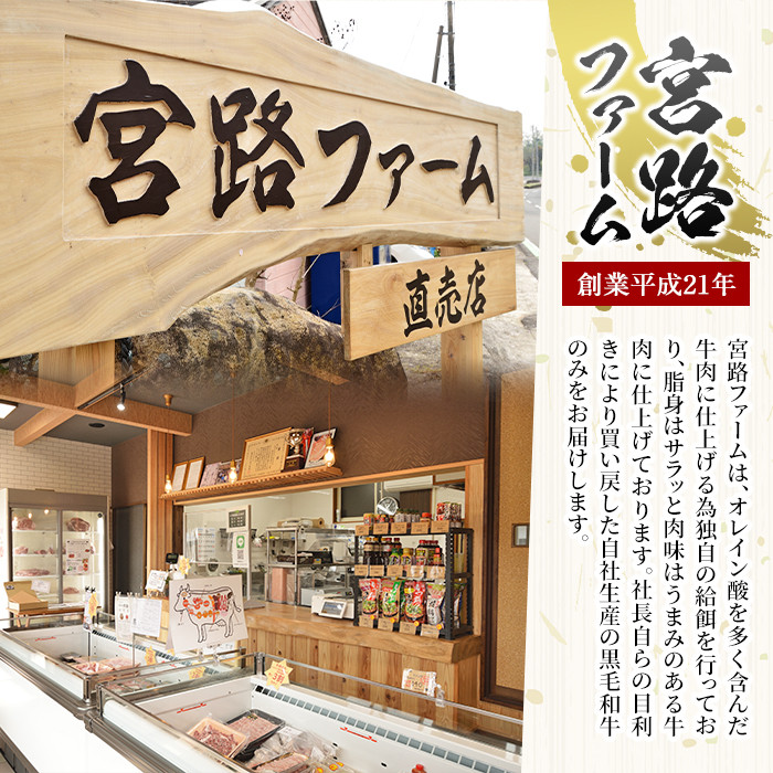 鹿児島県長島町産　黒毛和牛ロースステーキ250g×2枚　計500g