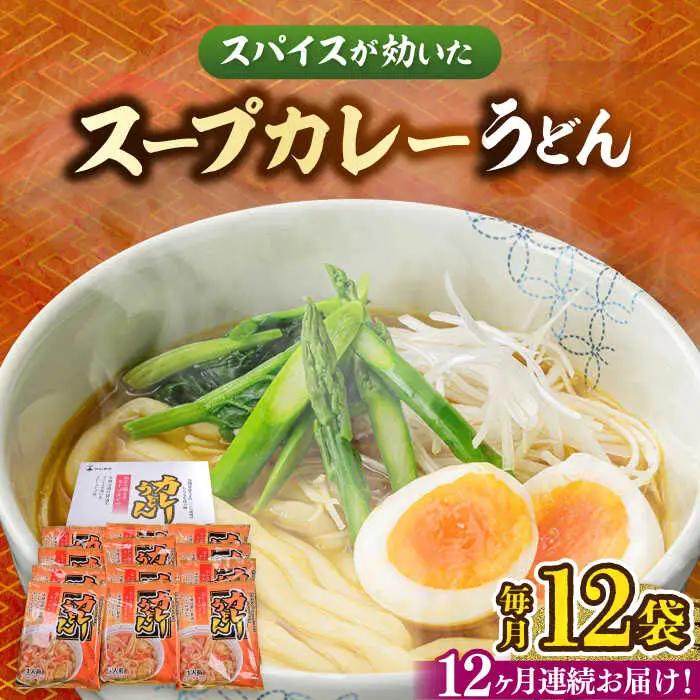 【全12回定期便】 スープカレーうどん 12食入 VAI073 うどん カレー