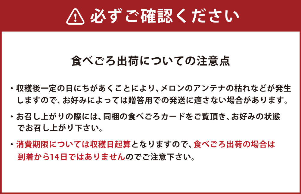 熊本県産メロン 絹月エクセラン 1玉