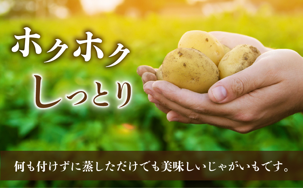 先行受付【里山JAPAN】長野県産新じゃがいも 生きた土壌で育った『白土馬鈴薯5㎏』｜2025年7月〜8月発送予定
