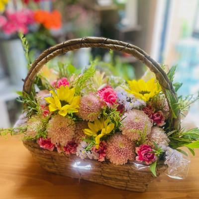 ふるさと納税 大刀洗町 【毎月定期便】御供の花かご全12回