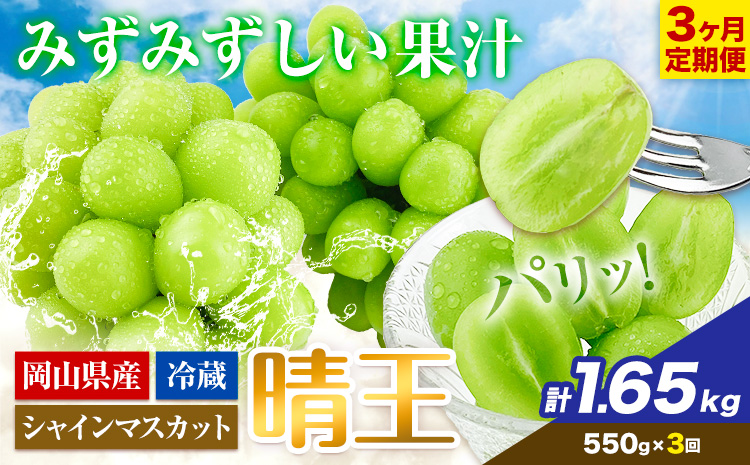 ぶどう 3ヶ月 定期便 [2025年先行予約] シャインマスカット 晴王 約550g 岡山県産《9月上旬-11月末頃出荷(土日祝除く)》 ハレノフルーツ マスカット 送料無料 岡山県 浅口市 フルーツ 果物 贈り物 ギフト 国産 岡山県産 くだもの【配送不可地域あり】（北海道・沖縄・離島）