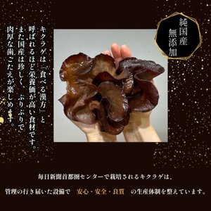 彩のきくらげ　生きくらげ1000g　埼玉県産【配送不可地域：離島】【1692949】