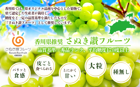 食卓応援品　シャインマスカット（ご家庭用）約1.5kg