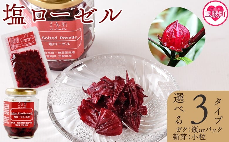 
                  選べるタイプ＜塩ローゼル 【瓶/パック】 60g/【小粒】70g＞ 国産ハーブ 香りや風味が豊か しそ風味 梅風味 混ぜご飯 箸休め 薬味 漬物 和食 和風 おにぎりの具 ごはん ご飯 パン パスタ サラダ 調味料 塩漬け 宮崎県 三股町【MI624-bi_oya】【美香園】
                