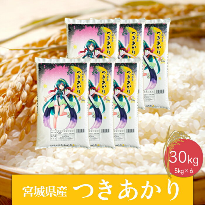 【ふるさと納税】《精米》令和7年産 宮城県産つきあかり30kg　精米 お米 白米 こめ コメ ご飯 ごはん 大崎市産 宮城県産 ブランド米 送料無料