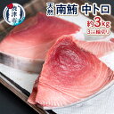 【ふるさと納税】 数量限定 まぐろ 中トロ 天然 南鮪 約3kg 刺身 おつまみ おかず 冷凍 魚 焼津 a90-004