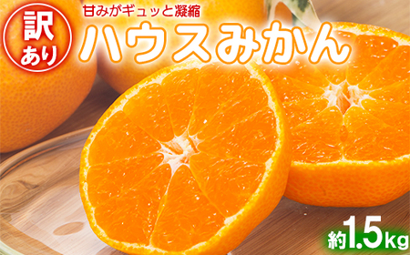 【訳あり・優品】今村農園のハウスみかん 約1.5kg 2025年 7月 夏 発送 果物 期間限定 九州 ＜107-002_7＞